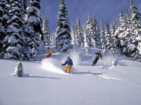 Skiing Whistler